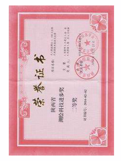 湖南省科學技術(shù)進步獎證書